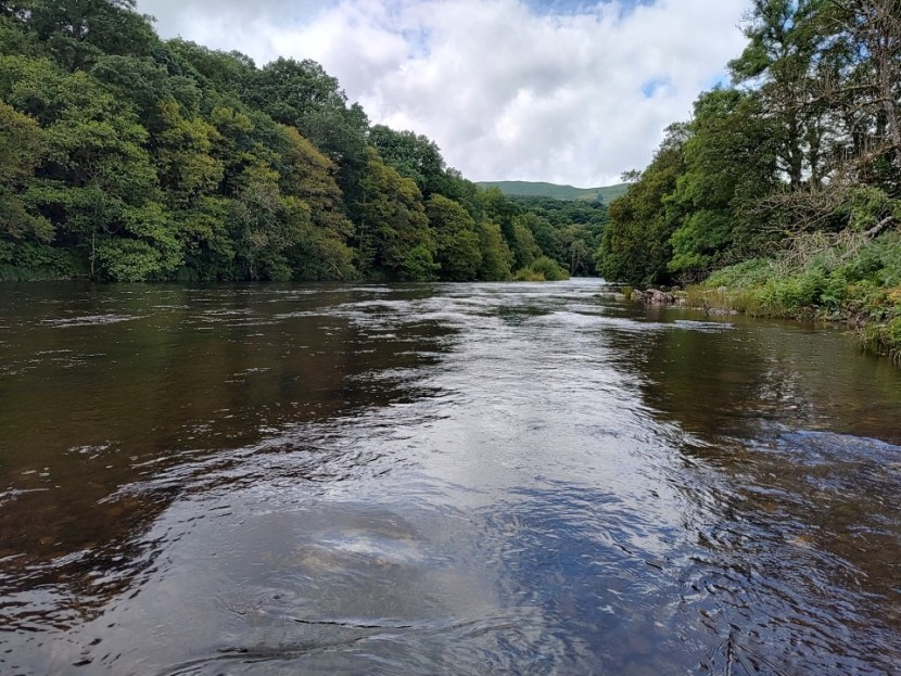 Craig Llyn - MF from Maidstone